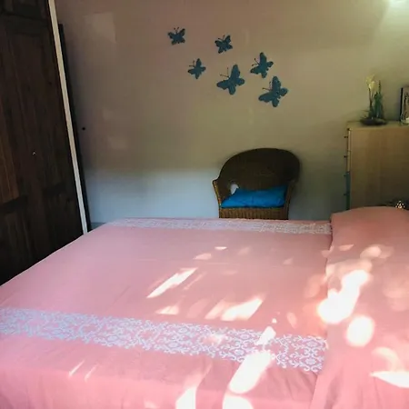 Apartment Bilocale Le Rose 100 Mt