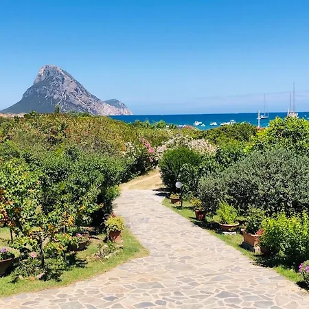 Bilocale Le Rose 100 Mt Porto Taverna