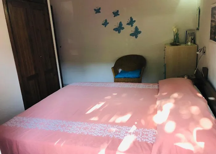 Apartment Bilocale Le Rose 100 Mt