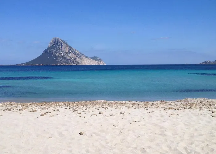 Bilocale Le Rose 100 Mt *