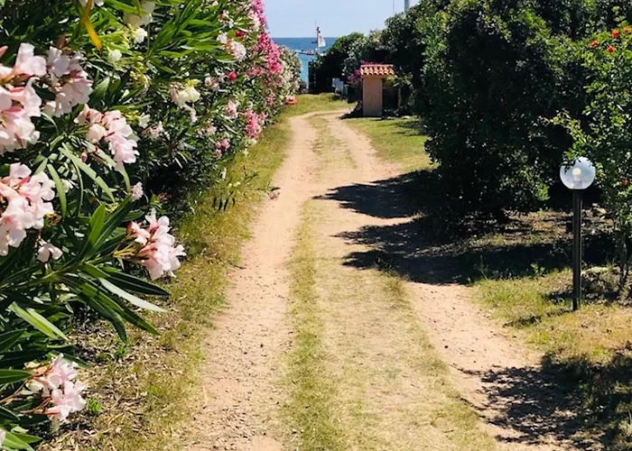 Apartment Bilocale Le Rose 100 Mt